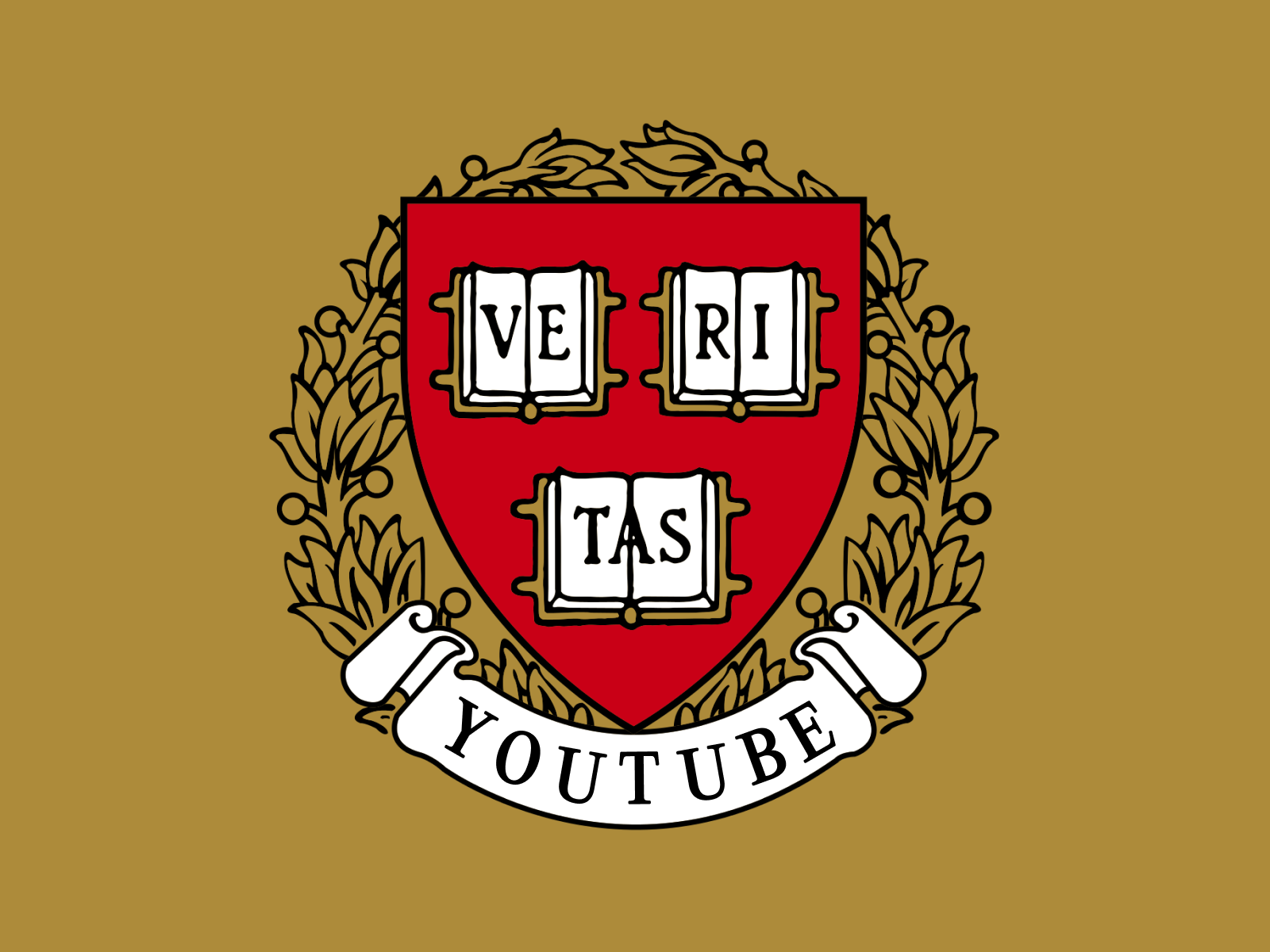 Youtube university