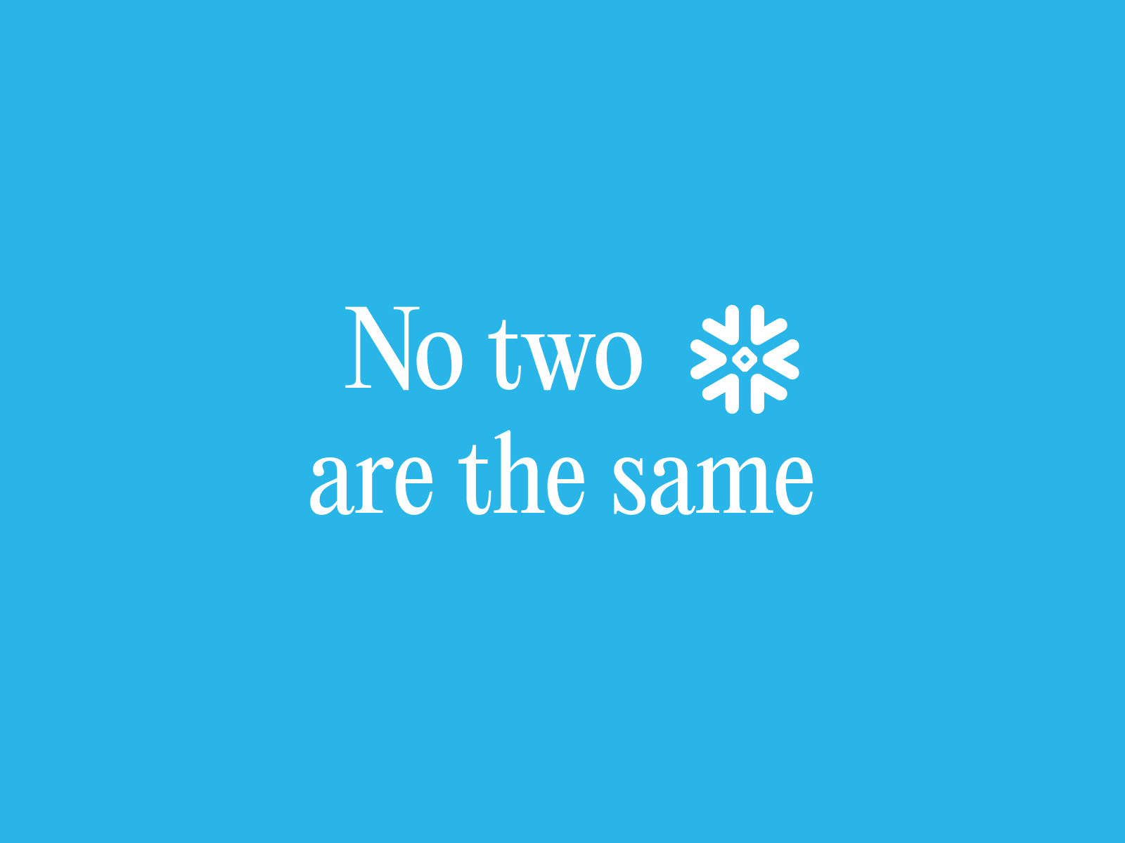 no two snowflakes are the same